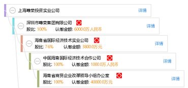 上海尊榮投資實(shí)業(yè)公司 實(shí)業(yè)投資之路與戰(zhàn)略實(shí)踐